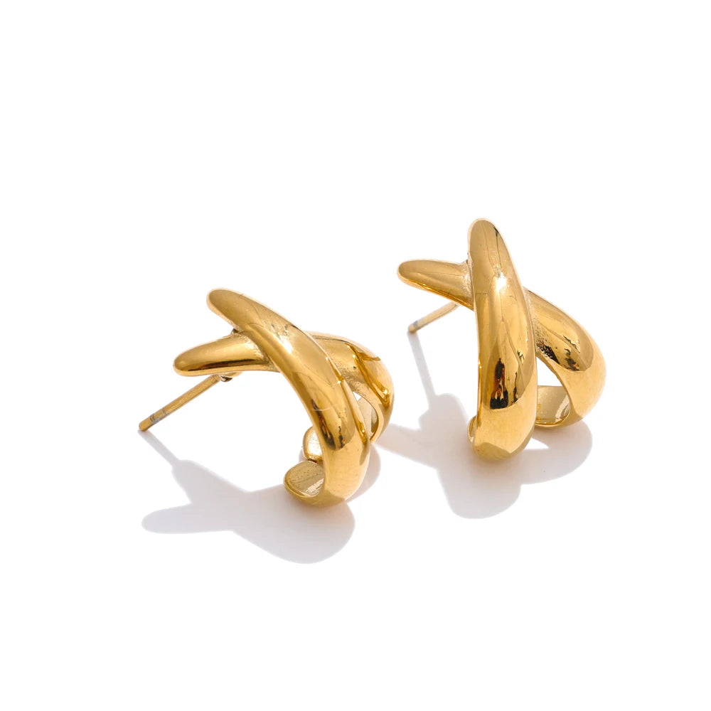 Earring 007